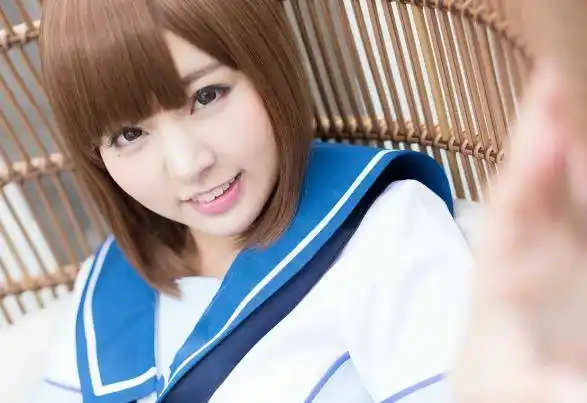 小院种菜日记封面